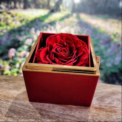 First My Mom, Forever My Friend - Love Knot with Rose Gift Box