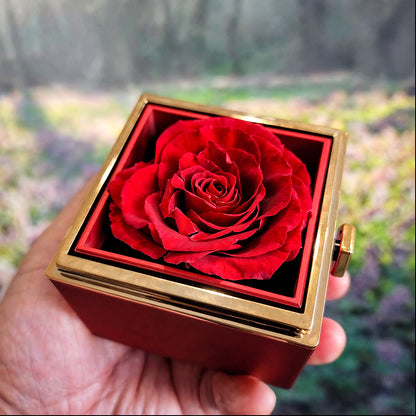 Because of You – Love Knot with Rose Gift Box